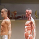 Image for article titled Put a HoloLens in the Classroom and I'll Happily Go Back to School